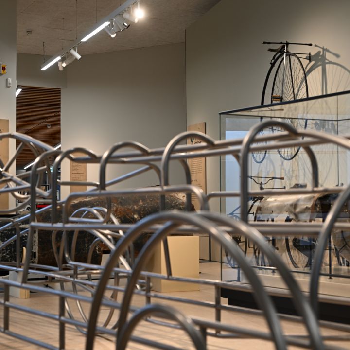 Gallery 8
