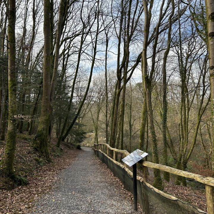 Gallery 2