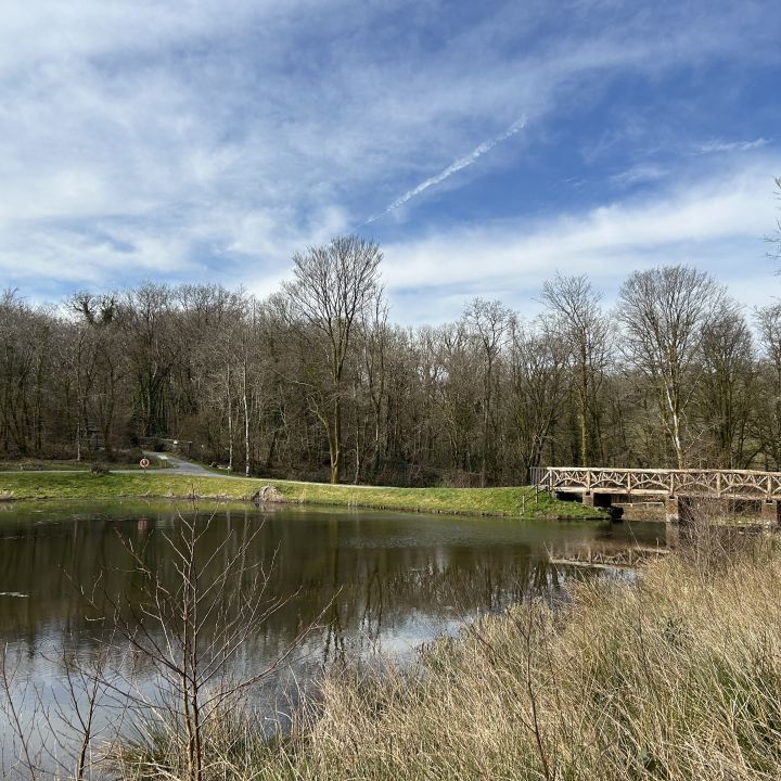 Gallery 3