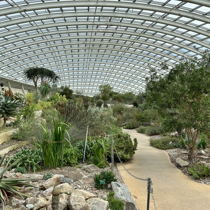 Gallery 4