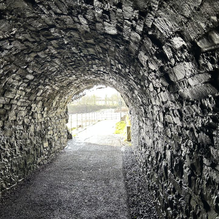Gallery 11